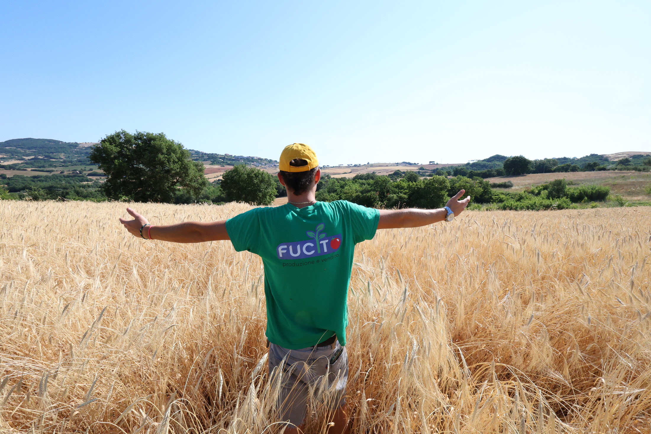 Nel campo di farro maturo, a braccia aperte, prima della mietitura