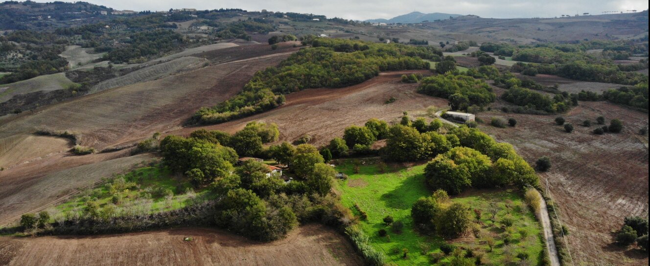 Le campagne dell'azienda agricola Fucito
